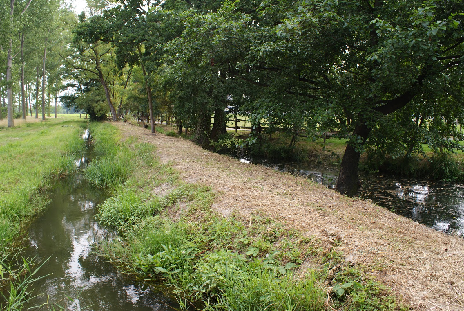 Parco della Baronella