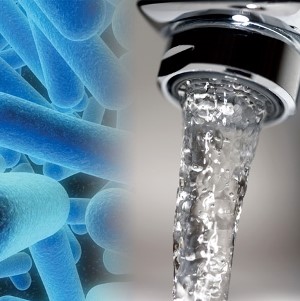 Attività comunicazione Legionella